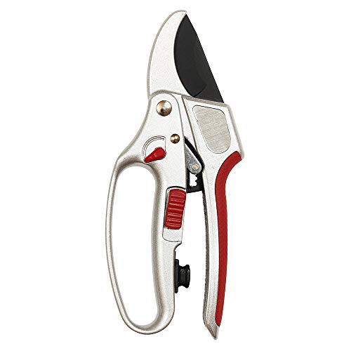 Kent & Stowe 2 in 1 Ratchet Anvil Secateurs, Cranberry, Single